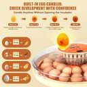 Nest II - 30 Egg Incubator for Large-Batch Hatchers, Hands-On Control, Auto Egg Turning, Manual Water Fill, Consistent Temp, Real-Time Display, Candler for Chicken, Goose, Duck, Quail, Pigeon, Turkey