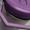 Stanley IceFlow 2.0 Flip Straw Tumbler with Handle 30 oz | Twist On Lid and Flip Up Straw | Leak Resistant Water Bottle | Insulated Stainless Steel | BPA-Free