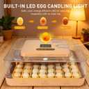 Gen IV – 56 Egg Fully Automatic Incubator, 2026 UpgradedDesign, Intelligent Sensor-Based Humidity & Temp Control, Custom Days, Adjustable Auto Turning & Stop, Chick Separator, Flexible Egg Spacing