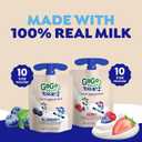 GoGo squeeZ yogurtZ Variety Pack, Blueberry & Berry, 3 oz (Pack of 20), Kids Snacks Made from Real Yogurt and Fruit, No Fridge Needed, Gluten Free, Nut Free, Recloseable Cap, BPA Free Pouches