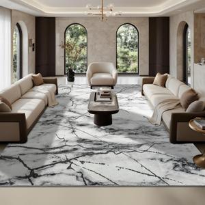 CRYPTOLITE Area Rugs 9x12 Rug for Living Room Abstract Washable Rug with Non-Slip Backing Low Pile Area Rugs for Bedroom, Dining Room, Silver&Grey