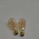 PHILIPS LED 40W ST19 2-Pack Vintage Edison Amber (2000K) 300 Lumen (4.4W = 40W) Dimmable Frosted Flicker-Free Light Bulbs