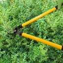 Centurion, gardening tools, yellow