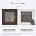 Air Plant Holder Tillandsia Ionantha Display Frame - Waterproof Wall Hanger Air Succulent Hanging Decor for Indoor House Plants, Creative Gift for Plant Parents