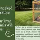 kimoe Non-GMO Bulk Dried Mealworms 10LB Bag for Chickens, Ducks & Wild Birds  100% Natural High-Protein Feed to Boost Egg Production, Feather Health & Immunity