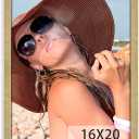 HLiWEGNS Matte Gold 16x20- Single Frame - Vintage 16 x 20 Poster Frame with Plexiglass for Wall Gallery Display, 16x20 Picture Frame for Puzzles, Artwork, Photos and Posters - Ideal Christmas Day