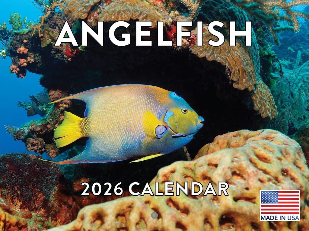3 x Angelfish Calendar 2026 Angel Fish Monthly Wall Calender 12 Month Tropical Fish Gifts | American Made In The USA