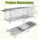 Humane Live Animal Cage Trap, Collapsible Galvanized Steel for Raccoons, Groundhogs & Stray Cats, 24"x8"x7", Heavy-Duty Indoor/Outdoor Catch & Release