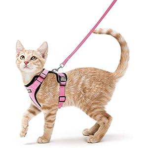 rabbitgoo Cat Harness and Leash for Walking, Escape Proof Soft Adjustable Vest Harnesses for Cats, Easy Control Breathable Reflective Strips Jacket, Pink, XS