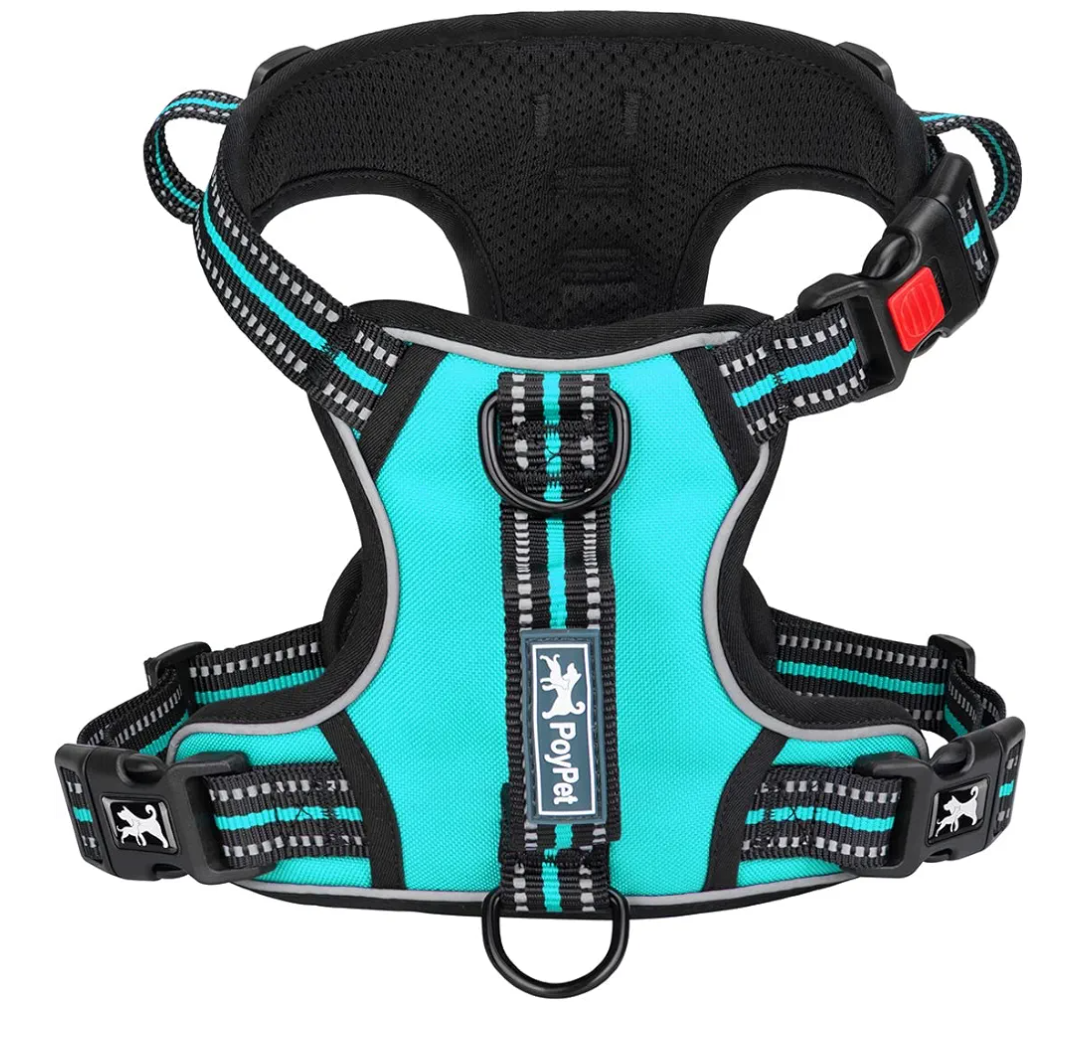 PoyPet No Pull Dog Harness, No Choke Front Clip Reflective Dog Vest with Soft Padded Vertical Handle, 3 Leash Attachments for Small Medium Large Dogs (Mint Blue, S)