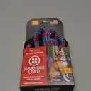 Harness Lead No Pull Dog Harness and Leash Set, Anti Pull Dog Harness, One-Piece Cushioned Rope Safely Prevents Escaping and Pulling (Small/Medium, Reef) (Reef (Purple/Raspberry/Turquoise))