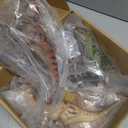 4 PCS Jumbo Dinosaur Toys for Kids 3-5 Realistic Dinosaur Figures with Movable Parts & Learning Cards- Big Dino Toys for Kids 5-7 Ideal Gift for Toddlers Boys Girls Ages 3+