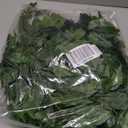 mizii 24pcs Artificial Greenery Stems Silk Green Leaves Fake 23in Ficus Garland Spray Plants Faux Greenery Decoration for Centerpieces Wedding Arch Flower Bouquet Table Home Decor (24)