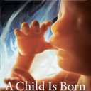 A Child Is Born: The fifth edition of the beloved classic--completely revised and updated