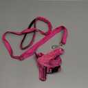Lukovee Dog Harness and Leash Set, Soft Padded Small Dog Harness, Neck & Chest Adjustable Reflective Vest Puppy Harness with 4ft Lightweight Anti-Twist Dog Leash for Small Dogs (XX-Small, Pink) (XXS ( Chest 11.5'' ~ 15''), B-pink)
