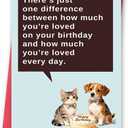 2 x Happy Birthday Card for Cat Dog Lover, Funny Birthday Card Gift for Dog Cat Dad Mom Friend Women Men (FY-309)
