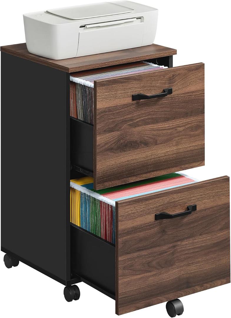 VASAGLE 2-Drawer File Cabinet, Small Rolling Filing Cabinet, Classic