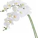 Htmeing 38 Inch Artificial Phalaenopsis Flowers Branches Real Touch (Not Silk) Orchids Flowers for Home Office Wedding Decoration,Pack of 2 (White)