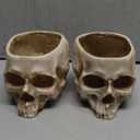 RMM Halloween Decoration Retro Human Skull Head Flower Pot Planter Bed Box Container Replica Home Bar Décor, Clear 2 PACKS