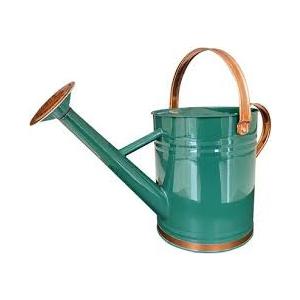 Watering Can for Outdoor Plants&Indoor Plants,Plant Watering Pot 1 Gallon,Metal Flower Garden Water Can Watering Pot,Galvanized Steel Watering Can Outdoor(Green)