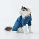 Cat Hair Sticky Onesie, Prevent Hair Loss Cat Pajamas, Long Sleeves Anti-Licking & Skin Disease Recovery Suit for Cats, Sphynx Clothes Costumes Outfits for Pet, XS