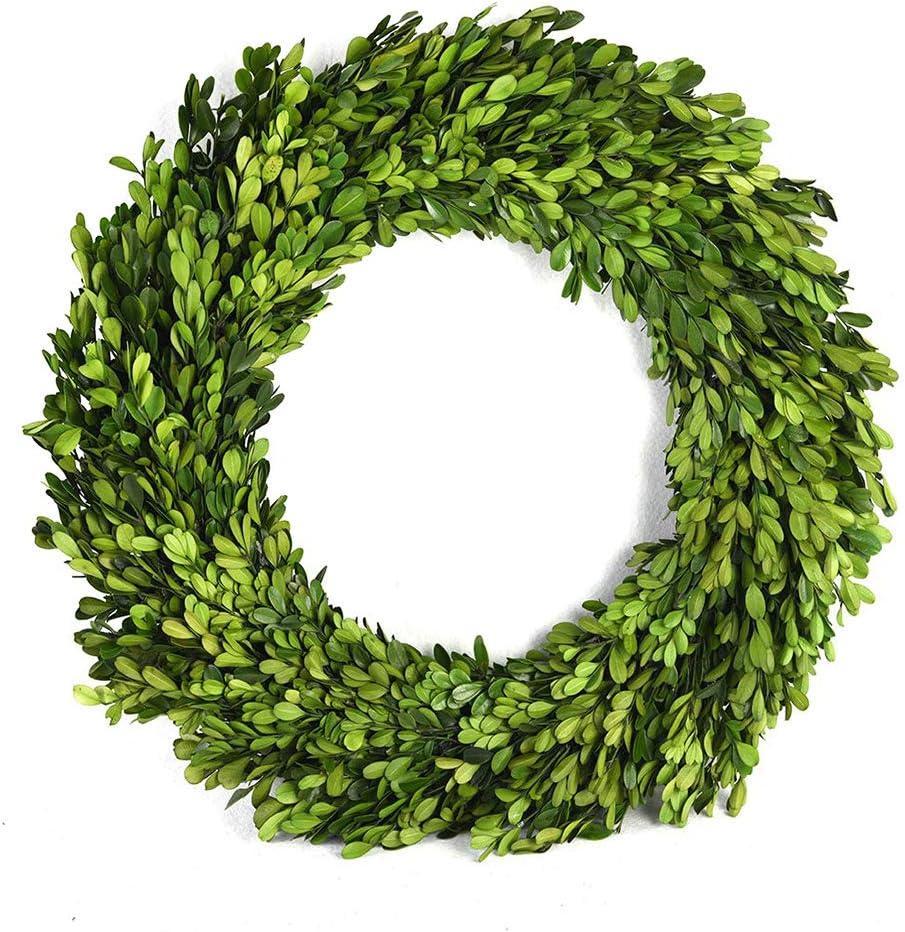 Preserved Boxwood Wreath 16 inches Home Decoration Full Green Indoor Dcor for Halloween, Christmas Wedding All Seasons Home Decor (Wreath, 16")