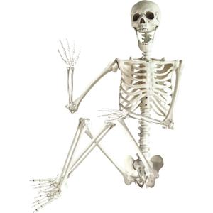 ArtCreativity 6ft Halloween Skeleton Decor, Posable Skeleton Life Size, Plastic Skeletons for Halloween Decorations Indoor and Outdoor - Full Size Skeletons for Haunted House Props