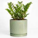 Ceramic Flower Pots, 10 Inch Plant Pot, Round Planter, Green