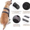 Dog Socks to Prevent Licking Paws ，Breathable Dog Leg Sleeve to Stop Licking and Biting， Firm and Secure Protect Wounds Dog Recovery Sleeve Socks(S-Right)