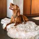 IHAPPYDOG Luxury Faux Fur Orthopedic Dog Bed, Memory Foam Dog Bed for Small, Medium, Large and XL Pets, Fluffy Pet Rug with Waterproof and Washable Cover, White, Giant 60x35