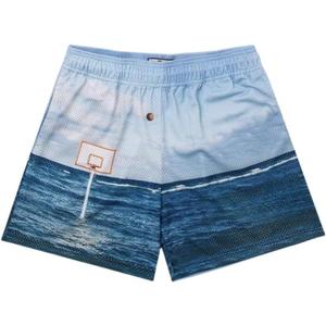 Mens Running Quick-Dry Mesh Gym Shorts with Paisley Design Lightweight Athletic Casual Shorts,Pockets for Outdoor (Blue, L)