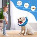 SCENEREAL Dog Cone Alternative After Surgery Pet Recovery Collar for Small Medium Large Dogs Cats, Adjustable Inflatable Donut to Prevent Licking, Shark Print E-Collars, Size: M(Neck 13"-16")