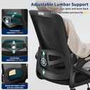 Ergonomic Office Chair, Desk Chair with Adjustable Lumbar Support, Breathable Mesh Comfy Computer Chairs with Flip-up Armrests Executive Task Chair for Adults Home Office(Black)