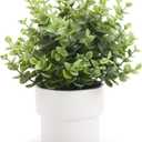 Coferset Small Fake Plants 7.45 Eucalyptus Potted Artificial Eucalyptus Plant for Bedroom Kitchen House Living Room Shelves Farmhouse Table Office Desk Bathroom Home Indoor Decor (Green)