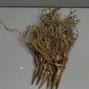 13.8 inches Artificial Coral Branches Fake Antler Branches Small Branches for Home Decoration Flower Arrangement Wedding Christmas Halloween Festival (Golden 20pcs)