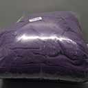 HYLEORY All Season Twin Size Bed Comforter - Cooling Goose Down Alternative Quilted Duvet Insert with Corner Tabs - Winter Warm - Machine Washable - Purple