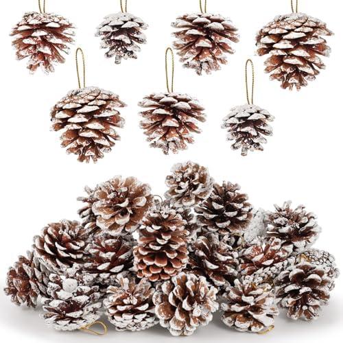JOHOUSE 16PCS Snow-Dusted Natural Pine Cones with Gold String – 2-2.5in Pinecone for Crafts, Thanksgiving & Christmas Tree, Wreath/Garland DIY, Table/Bowl/Vase Fillers, Fall Winter Home Decor