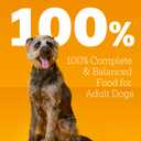 Pedigree Wet Dog Food, Choice Cuts Adult Canned Dog Food Variety Pack, 13.2 oz. Cans, 12 Count (EXP 02/02/26)