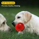 VITEVER 3.5 Squeaky Dog Toy Balls (6 Colors) Puppy Chew Toys for Teething, BPA Free Non-Toxic, Spikey Dog Balls for Medium, Large & Small Dogs, Durable Toys for Aggressive Chewers