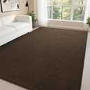 DweIke 6x9 Brown Rugs for Bedroom Living Room, Soft Fluffy Washable Low Pile Solid Color Rug, Non-Slip Throw Carpets for Kids Boys Girls Dorms Nursery Classroom Home Decor