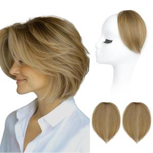 REECHO Clip in Hair Volumizer, 2PCS 6 inch Short Thick Clip in Hairpieces Adding Extra Volume Hair Extensions for Women (Honey Blonde with Highlights)