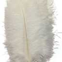 MELADY Pack of 50pcs Natural Ostrich Feathers 12-14inch for Home Wedding Party Decoration (White)