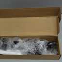 Solar Pool Lights for Framed Above Ground Pools, 6 Pack Waterproof Swimming Pool Accessories Lights, LED Energy Saving Warm Lights for Frame Swimming Pools