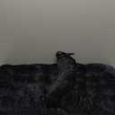 2 Pack Square Seat Cushions - Velvet & Slow-Rebound Foam Chair Pads Chair Pillow Cushion with Anti-Slip Ties for Kitchen, Dining, Office Chairs, Tatami (16"x16", Black)