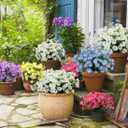 6 Bundles Artificial Morning Glory Fake Boxwood Shrubs UV Resistant No Fade Faux Greenery Plastic Petunia for Home Garden Hanging Planter Indoor Outdoor Porch Patio Wedding Decoration(White)