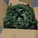 Palonu Artificial Hanging Plants for Shelf, 4 Pack Fake Potted Greenery Faux Eucalyptus Vine, Mandala Vine, String of Pearls,Pea pod Leaves in Pot for Office Living Room Bathroom Indoor Outdoor Dcor