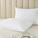 Oeko-tex Bed Pillows Queen White 2 Pack