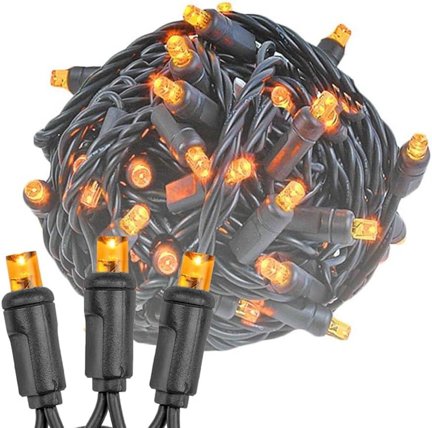 Novelty Lights 50 Light LED Christmas Mini Light Set, Outdoor Lighting Party Patio String Lights, Amber, Black Wire, 11 Feet
