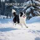 2026 Wall Calendar, Calendar 2026, Border Collies Monthly Wall Calendar (Jan 2026 - Dec 2026) 12" x 24" Opened, Hanging Calendar Thick Paper for Family Adults Kids Office Home