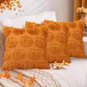 Pumpkin Fall Decorative Throw Pillow Covers 18"x18", Set of 2 Orange Soft Faux Fur Pillow Covers for Autumn Harvest, Fluffy Plush Accent Pillow Cases for Farmhouse Couch Cushion Covers